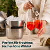 Eiswürfelbehälter mit Deckel